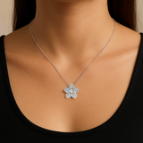 Lily Collection