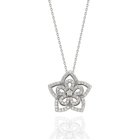 Lily Collection