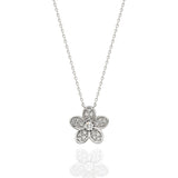 Lily Collection