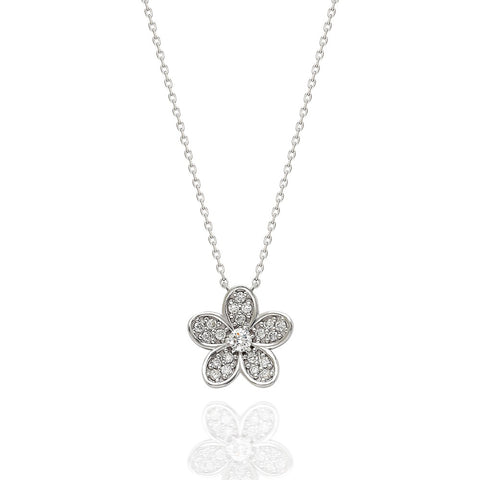 Lily Collection